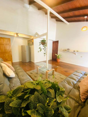 AmimodoBeachRooms